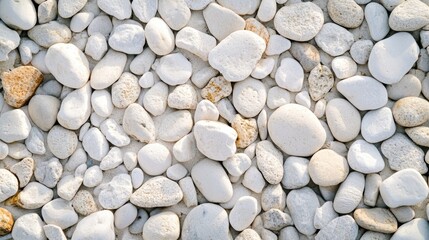 Poster - Smooth white pebbles creating a pure texture on the surface Tiny stones scattered across the ground