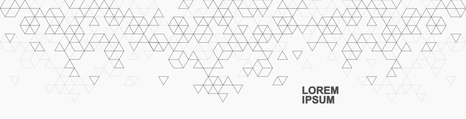 Fototapete - Modern abstract background with triangle and hexagon shapes pattern. Triangular geometric texture for header, web banner, website, presentation