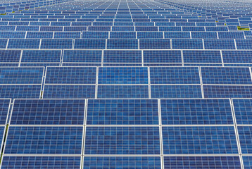 Wall Mural - close up rows array of solar panels or solar cells or photovoltaics in solar power station alternati