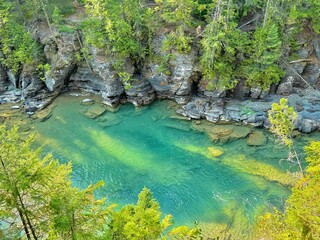 Wall Mural - Clear turquoise river in a forest landscape.