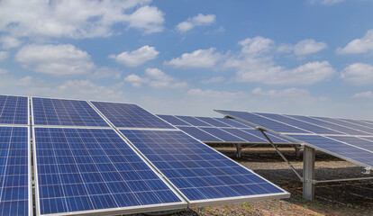 Wall Mural - close up rows array of solar panels or solar cells or photovoltaics in solar power station alternati