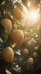 Canvas Print - Sunlit citrus orchard featuring ripe lemons glistening with dew in the golden hour