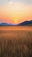 Canvas Print - Sunset over a serene meadow filled with blooming grass in a peaceful rural landscape