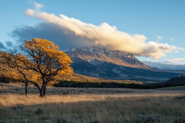 Wall Mural - mountains at sunrise: autumn hues and silhouetted trees beneath soft clouds