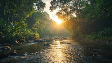 Poster - A tranquil river scene at sunrise, surrounded by lush greenery and illuminated by warm sunlight reflecting on the water's surface.