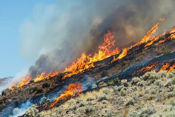 Aufkleber - A fire burning in the grass