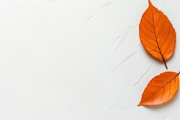 Aufkleber - A minimalist illustration of a single orange leaf against a clean white background, symbolizing autumn simplicity