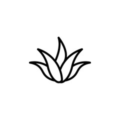 Poster - aloe vera icon Outline vector for web ui
