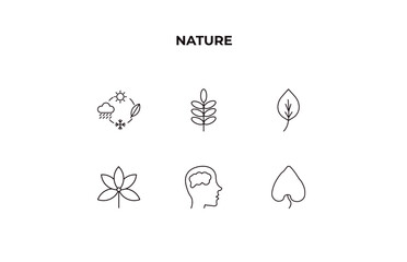 Aufkleber - fully editable outline icon collection from nature concept. thin line icons set such as season, acacia, ovate, human brian, obcordate,