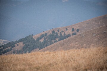 Wall Mural - landscape in the mountains