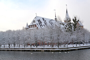 Wall Mural - The Cathedral is covered with snow. Kaliningrad