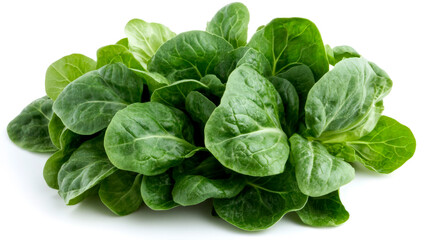 Wall Mural - Vibrant green pak-choi placed on a clean white background highlights its freshness and quality