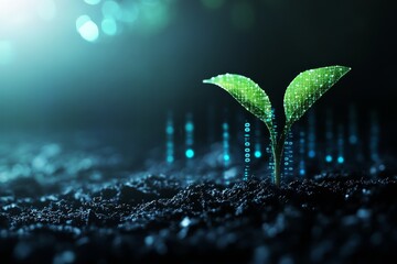 Poster - A green sprout growing from the dark soil with a digital binary code in the background.