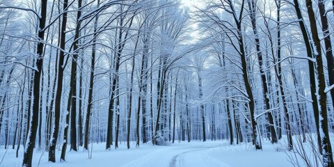 Wall Mural - a serene winter scene of snow-covered trees in a forest, season, landscape