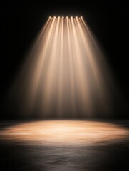 Poster - A dramatic spotlight illuminates a circular area on a dark stage, creating an atmosphere of focus and anticipation.