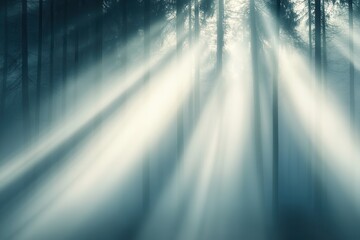 Poster - A serene forest scene with soft, diffused light filtering through trees, creating a tranquil and ethereal atmosphere.