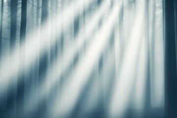 Poster - A serene forest scene with soft, diffused light streaming through tall trees, creating a mystical and tranquil atmosphere.