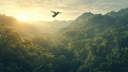 Aufkleber - A bird soars gracefully over a lush, green forest as the sun rises, casting a warm glow over the tranquil landscape.