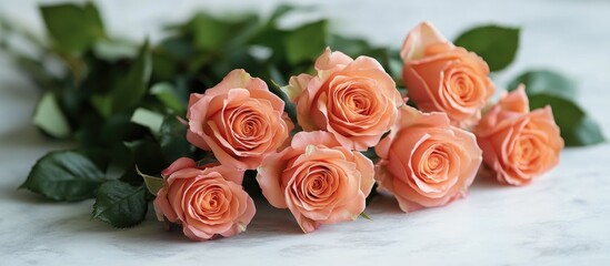 Sticker - Elegant bouquet of soft pink roses arranged on a light textured background showcasing beauty and freshness in floral design