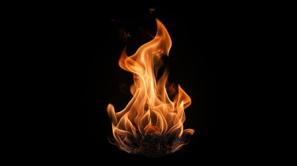 Poster - Realistic flame with vibrant colors and intricate details isolated on a black background depicting the essence of fire and warmth