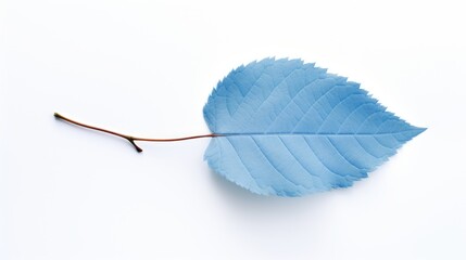 Poster - Isolated blue leaf on a clean white background showcasing unique color and texture for nature and design concepts