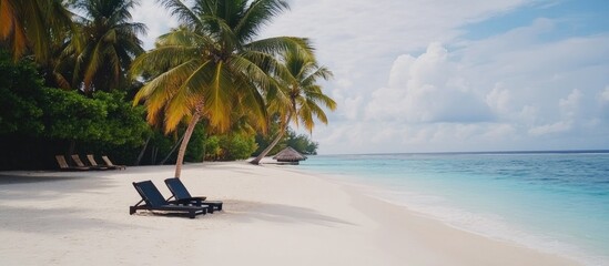 Poster - Serene beach getaway with relaxing loungers under coconut trees and tranquil blue waters for an idyllic vacation retreat.
