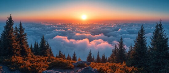 Poster - Majestic sunrise over clouds viewed from mountain summit with lush trees illuminating the sky in vibrant hues of orange and blue.