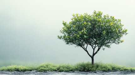 Poster - Decorative solitary tree with vibrant foliage isolated on a soft background ideal for nature themes and design projects with text space
