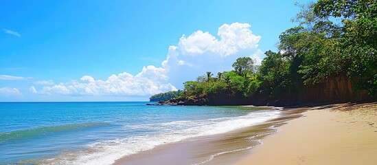 Poster - Tropical Beach Landscape with Clear Blue Sky and Lush Greenery by the Sea