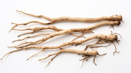Poster - Top view of long pepper roots arranged on a clean white background showcasing their intricate shapes and natural textures