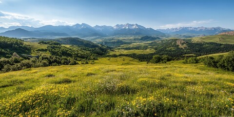 Aufkleber - A panoramic view of lush green meadows adorned with wildflowers, set against a backdrop of majestic mountains under a clear blue sky.