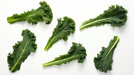 Canvas Print - Freshly harvested green kale leaves arranged on a clean white background highlighting their vibrant color and curly texture