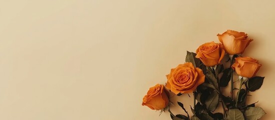 Poster - Bouquet of vibrant orange roses on a soft beige background perfect for celebratory greetings and card designs with ample empty space for text