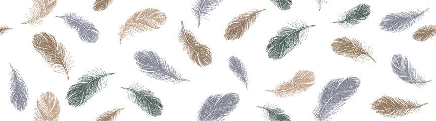 Wall Mural - feathers pattern on white background, hand drawn sketch style.