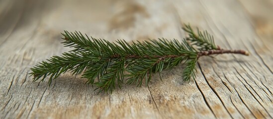 Aufkleber - Natural fir branch on textured wooden table creating a cozy holiday atmosphere for Christmas and New Year decoration ideas