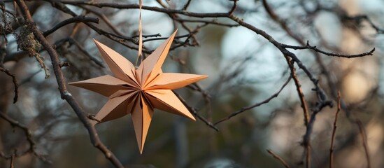 Poster - Brown paper star ornament hanging from branches in a natural outdoor setting with a soft blurred background and warm tones