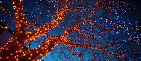 Poster - Vibrant Christmas tree lights illuminating a festive scene against a dark night sky creating a magical holiday atmosphere