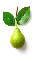 Wall Mural - A fresh green pear hanging from a branch with vibrant leaves, showcasing its natural beauty and ripeness.