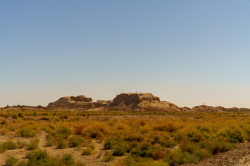 Wall Mural - A desert landscape with a mountain in the background