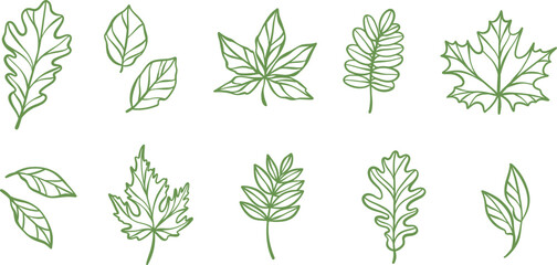 Aufkleber - Green line art leaves, autumn leaf illustration, vector plant outline clip art design