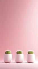 Poster - cacti in modern pots against a soft pink backdrop create a minimalist and tranquil atmosphere in int