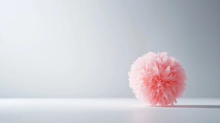 Poster - soft pink pom pom flower placed on a smooth white surface creating an elegant and minimalistic desig