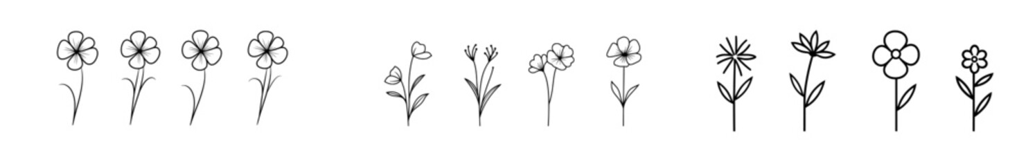 Wall Mural - a flower set in continuous outline style. botanical floral decoration, one-line blossom art for wedd