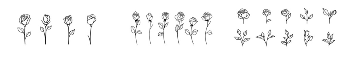 Wall Mural - a series of one-line drawings showcasing a decorative rose with a bud and petals, perfect for tattoo