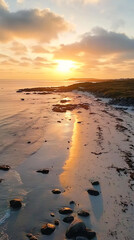 Wall Mural - sunset on the beach with golden sand and rocks
