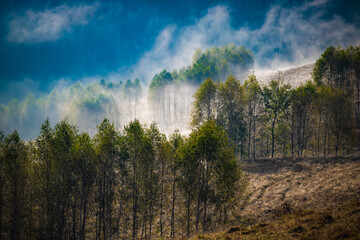 Canvas Print - amazing foggy autumn landscape in the mountains