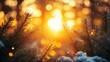 © Roby - A serene sunset through pine branches, creating a magical atmosphere with warm light.