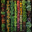 © thanit - Vibrant vegetable rows community garden nature photography urban environment aerial view sustainable living