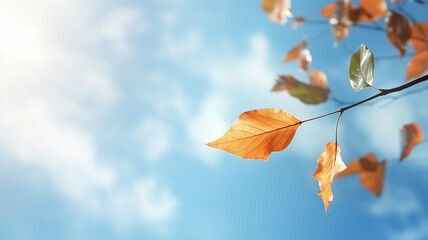 Wall Mural - autumn leaf fall, falling leaves on the background of a light blue autumn sky, yellow and red leaves flying from the sky, view up