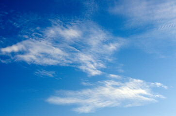 Wall Mural - White clouds in blue sky